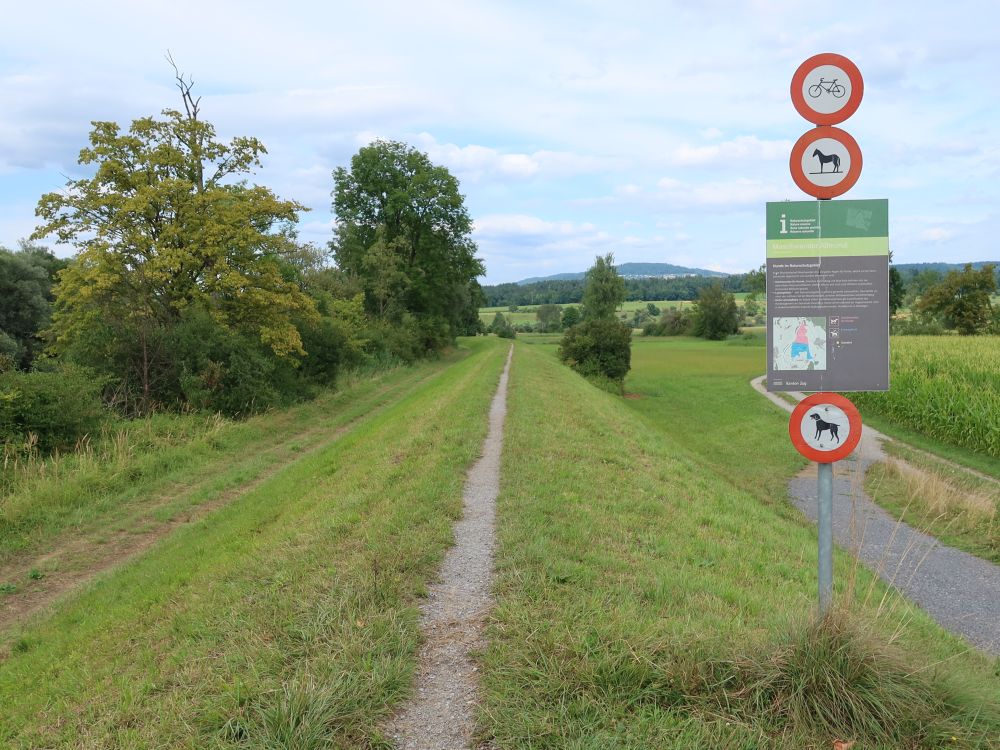 Verbotsschilder am Dammweg