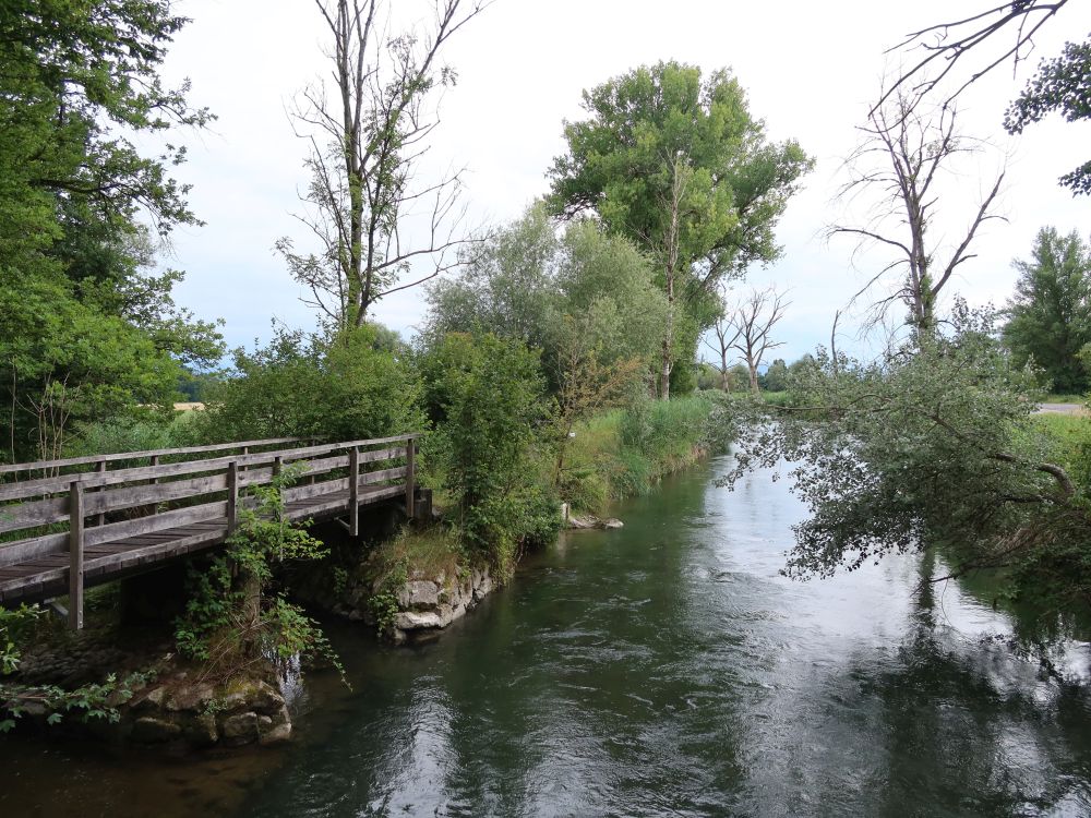 Holzsteh über den Haselbach