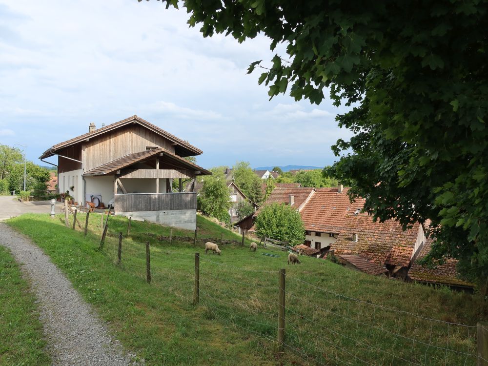 Haus in Maschwanden