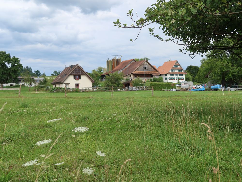 Bauernhof in Maschwanden