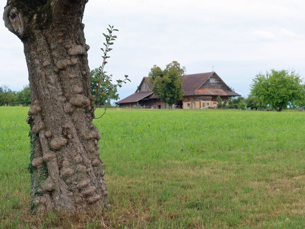Bauernhof bei Hinterfeld