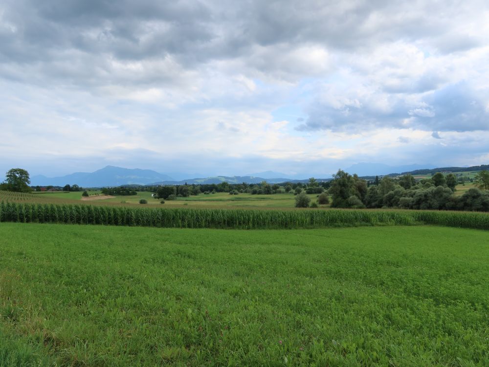Rigi und Pilatus im Dunst