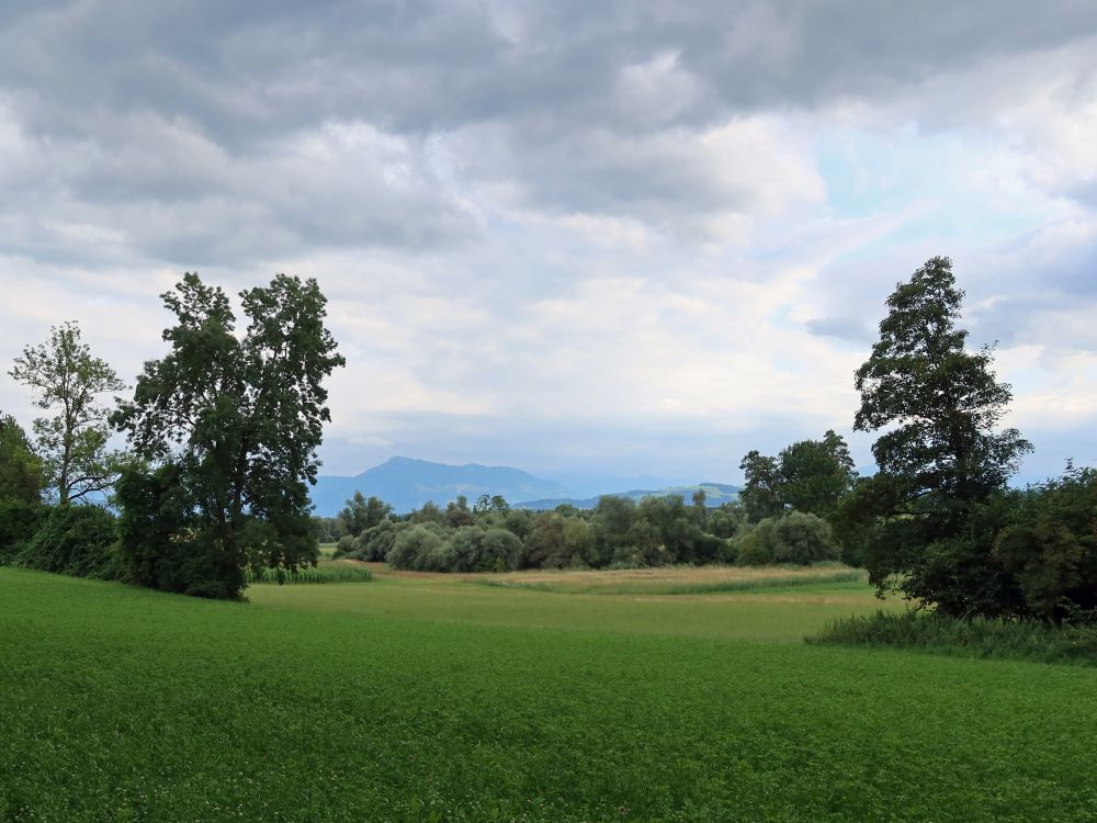 Blick Richtung Rigi