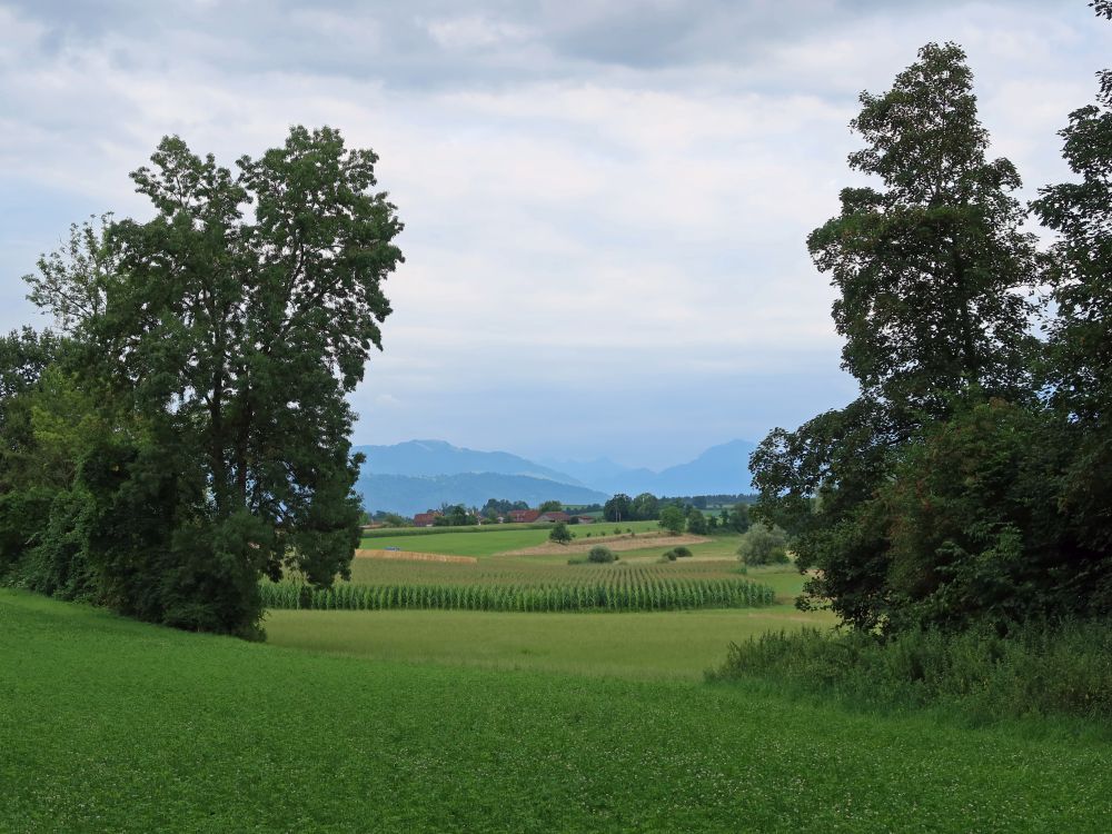 WIldspitz und Rigi im Dunst