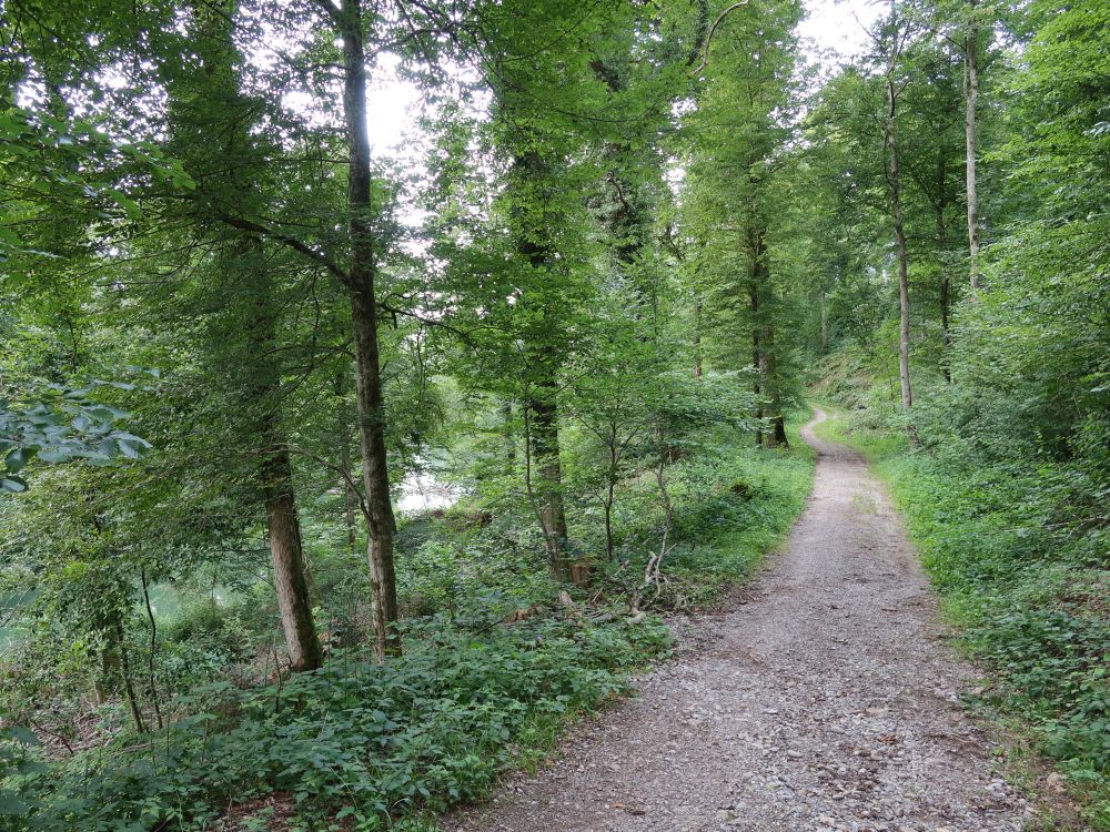 Weg an der Lorze