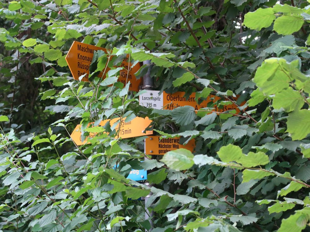 überwachsener Wanderwegweiser