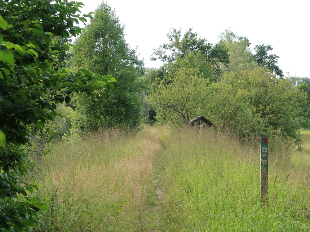 Pfad auf dem Reussdamm
