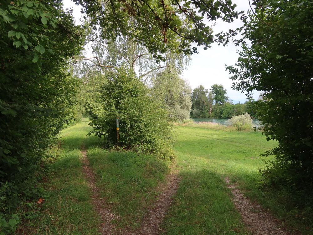 Pfad auf dem Reussdamm