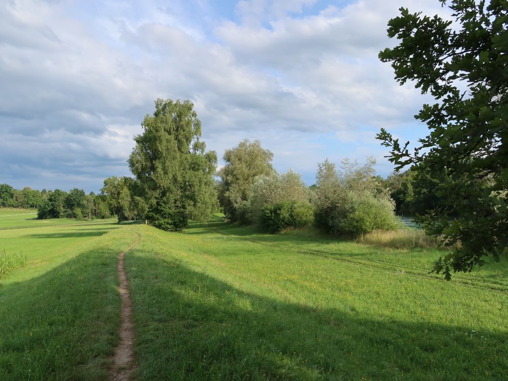 Pfad auf dem Reussdamm