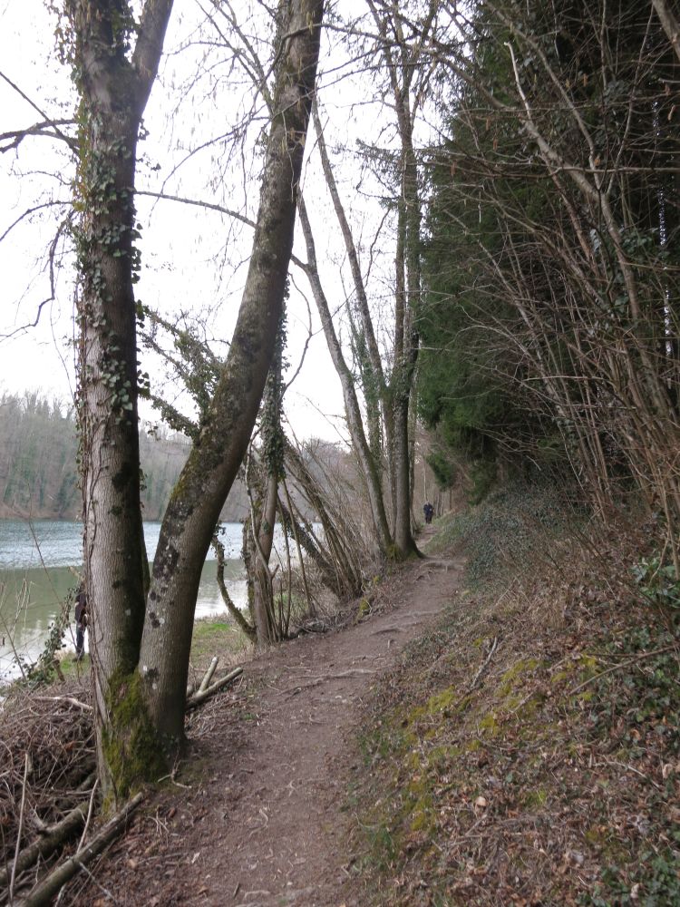 Uferweg am Rhein
