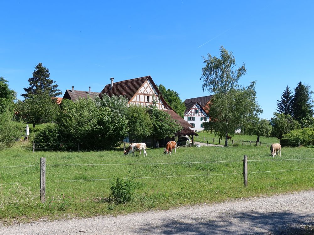 Bauernhof bei Ellikon