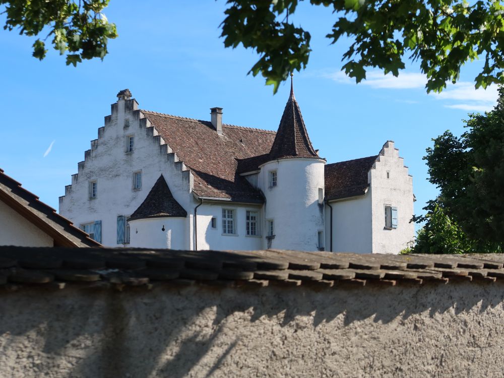 Haus in Rheinau