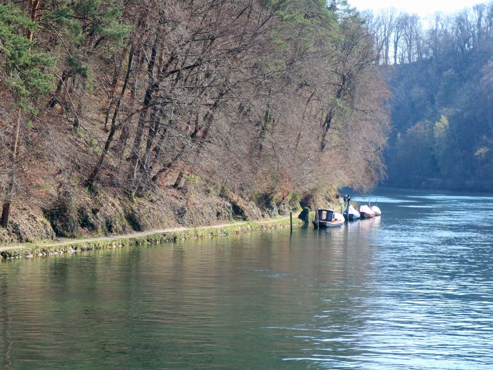 Pfad am Rheinufer