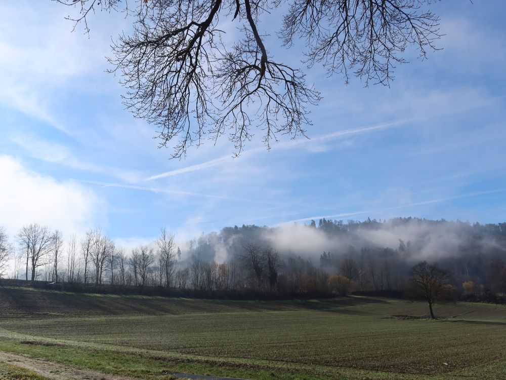 Morgennebel