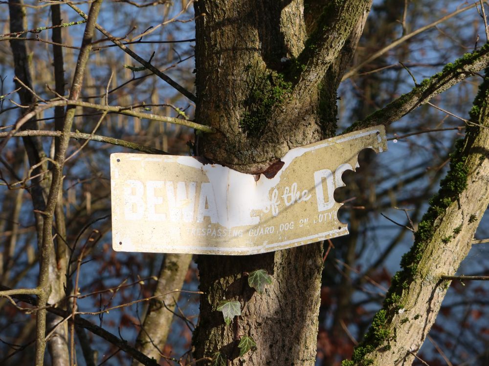 eingewachsenes Schild