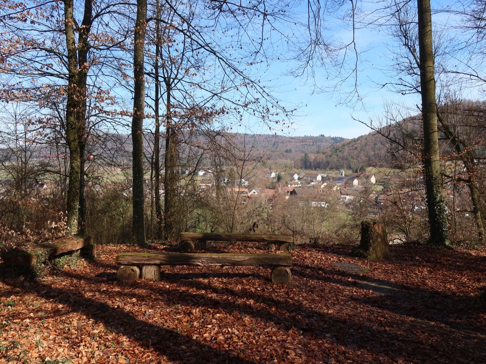 Grillstelle mit Blick auf Hemishofen
