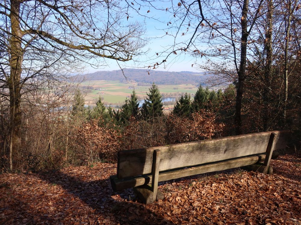 Sitzbank mit Rheinblick