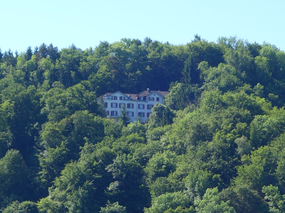 Salenstein, Schloss Wartburg