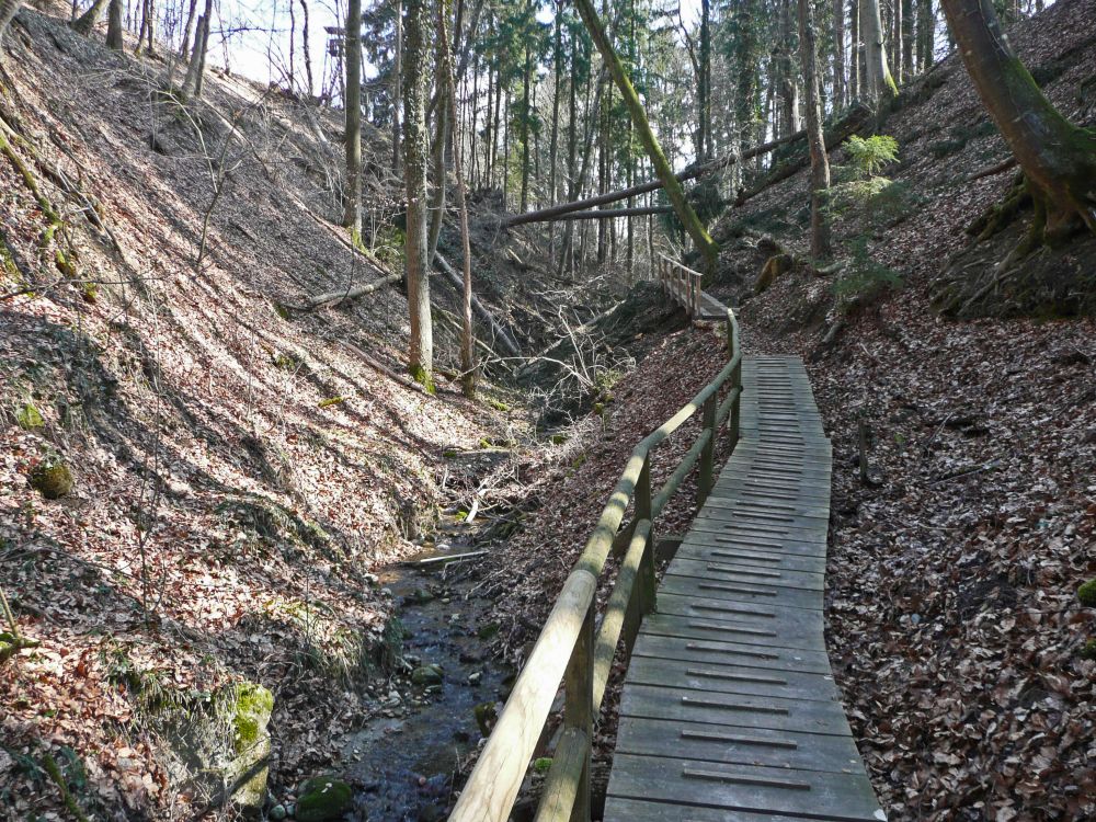 Holzsteg in der Klingenbachschlucht
