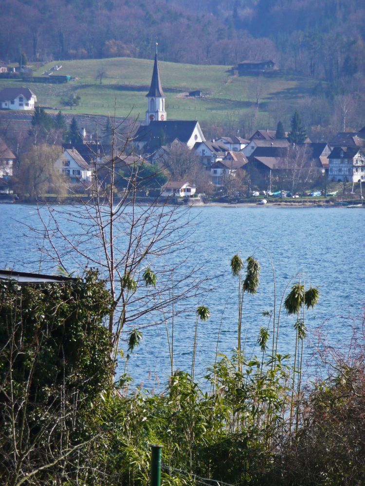 Blick übern Rhein