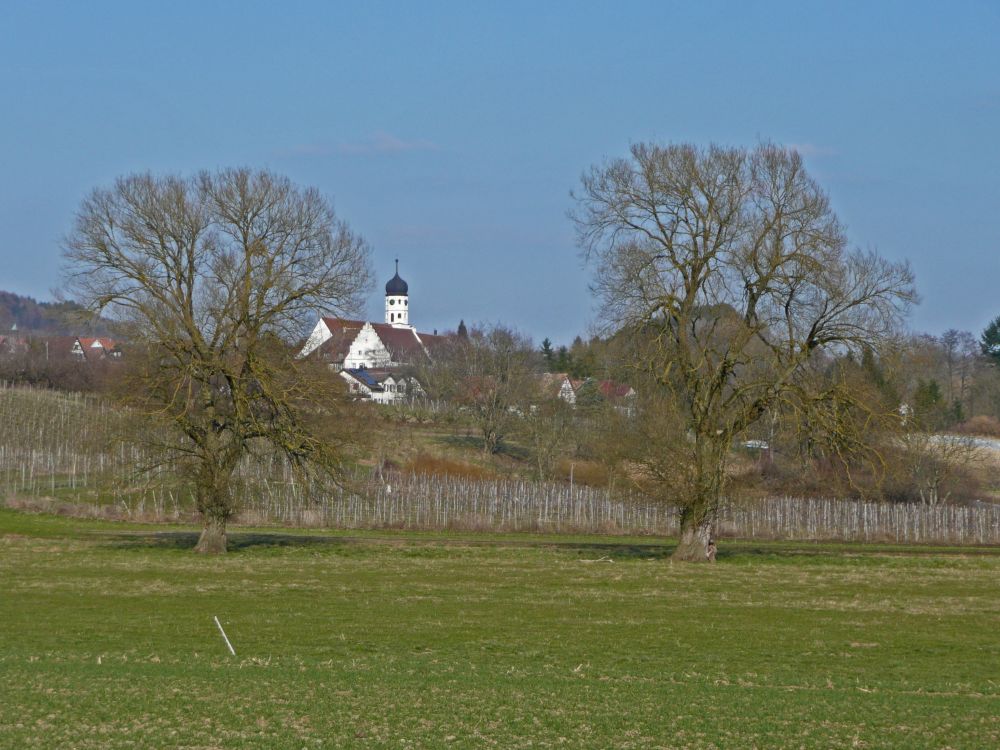 Kirche Öhningen