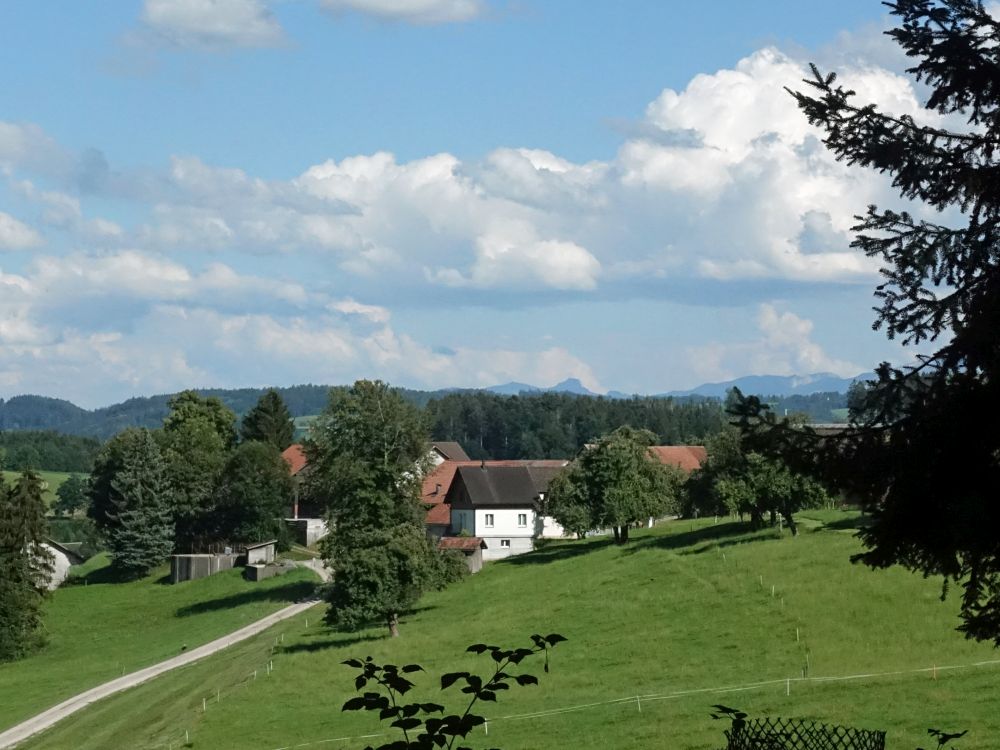 Oberbruberg mit Kamor und Hoher Kasten