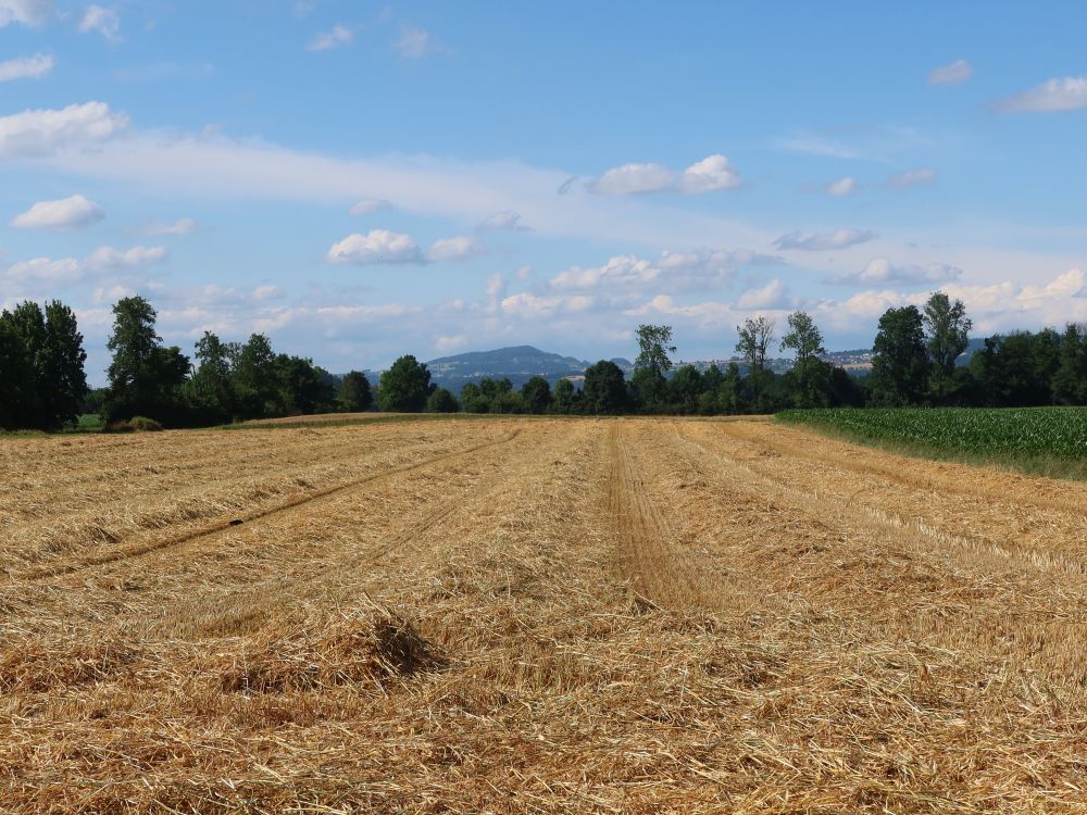 Blick Richtung Heitersberg