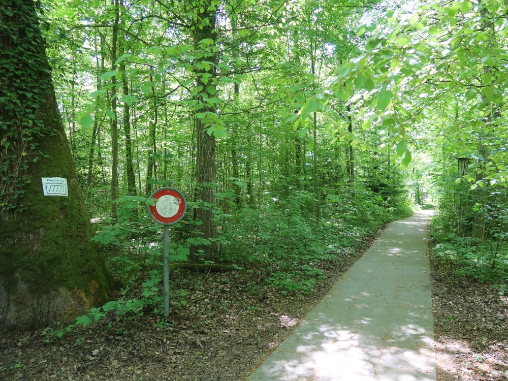 Waldpfad zum Freibad