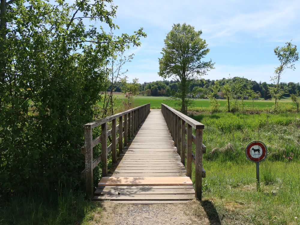 Steg übern Schwarzbach