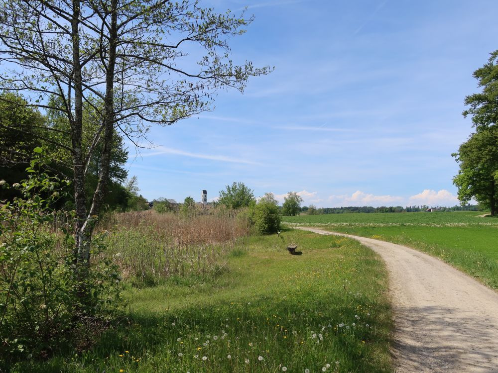 Aufeldstrasse