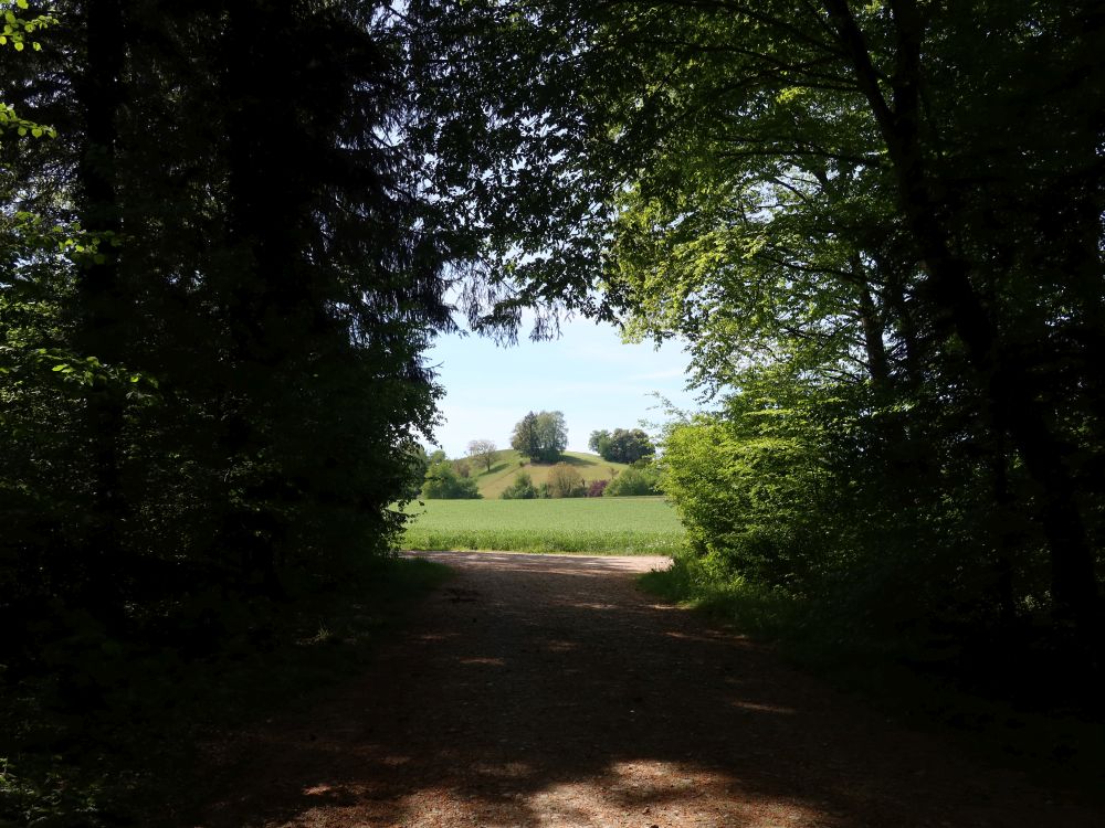 Isenbachloo