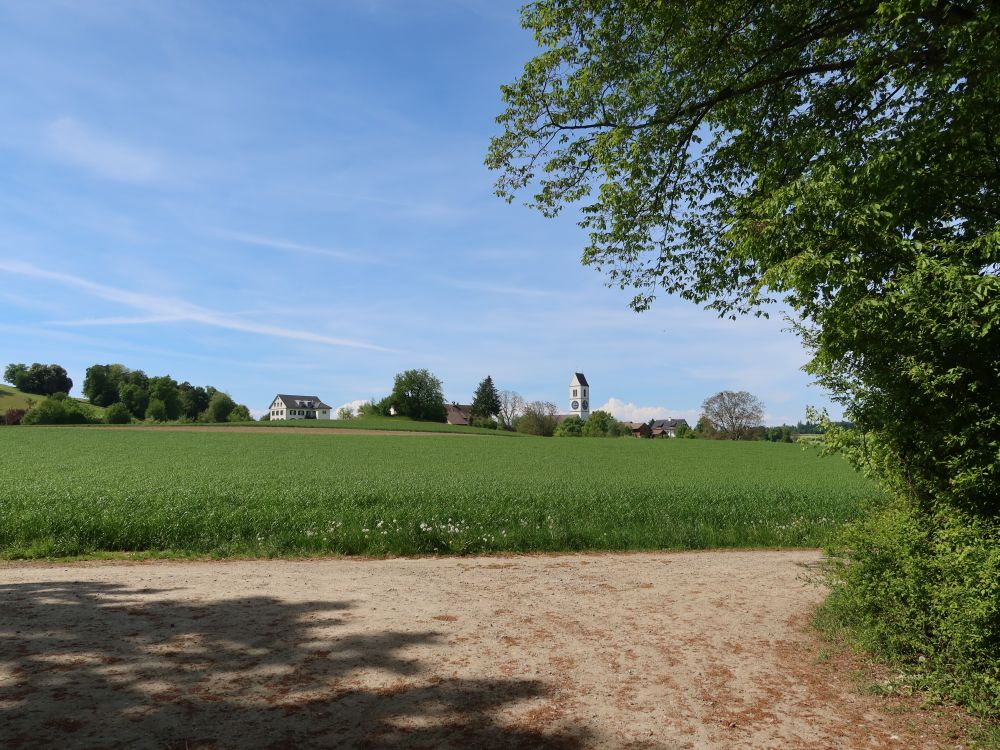 Blick Richtung Dinhard