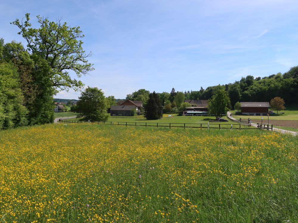 Riedmühle