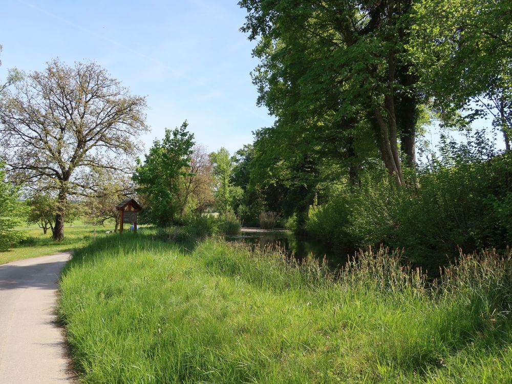 Teich bei Riedmühle