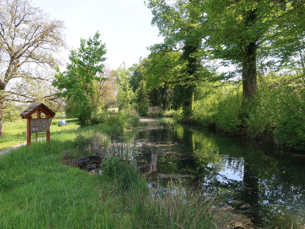 Teich bei Riedmühle