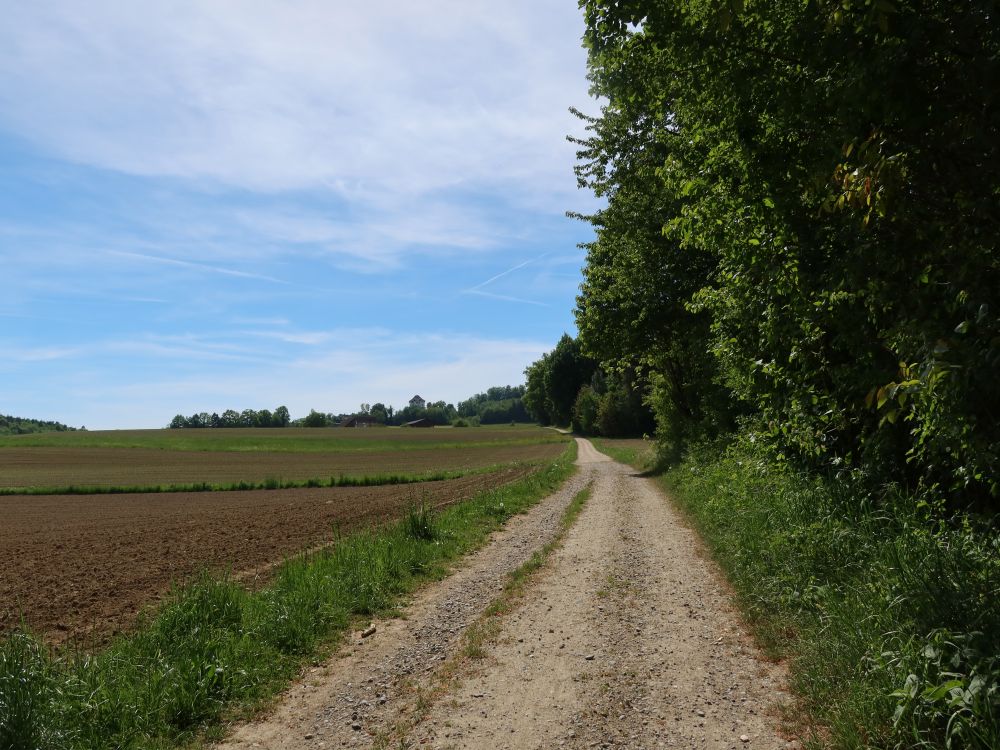 Mühlewiesenstrasse