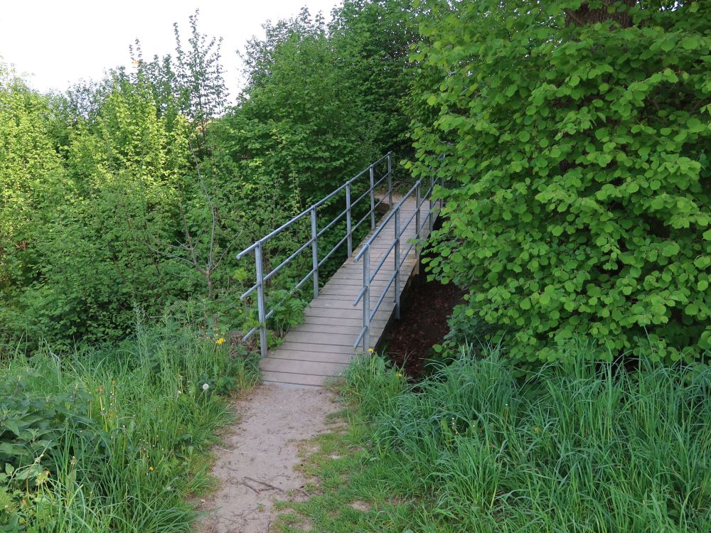 Steg am Sulzergraben
