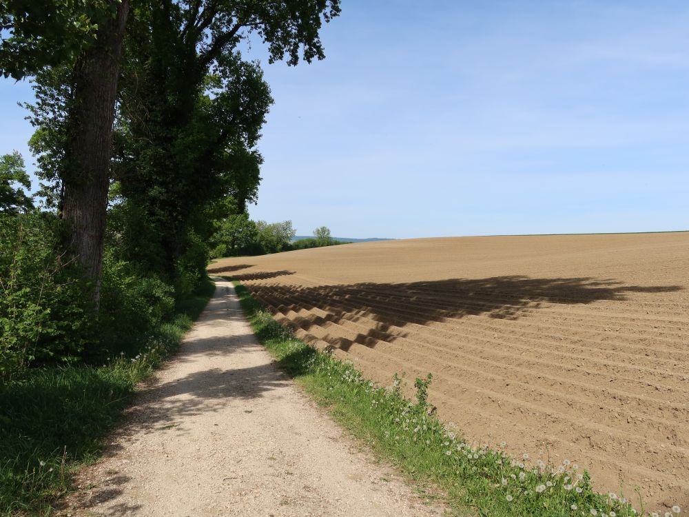 Tobelweg
