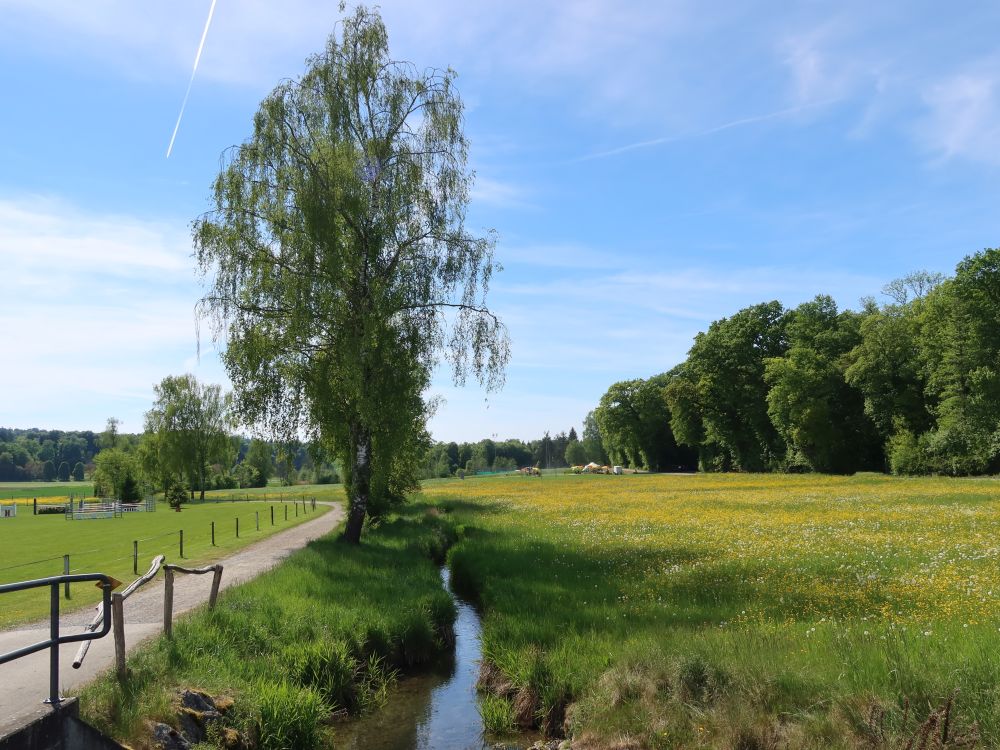 Schwarzbach