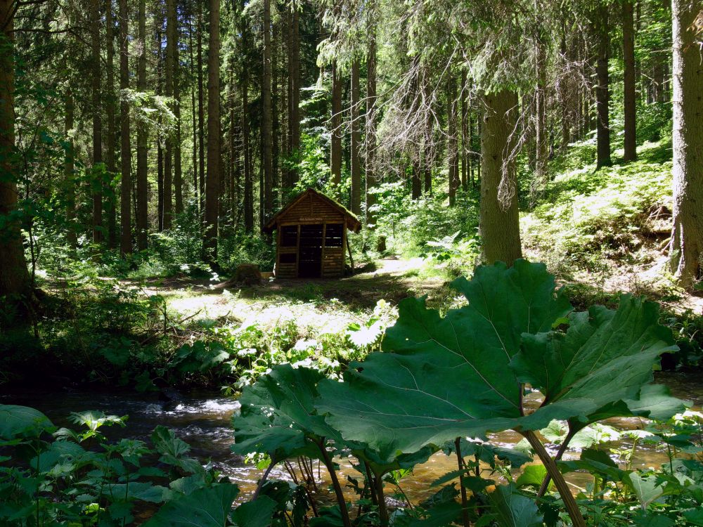 Rötenbachschluchthütte