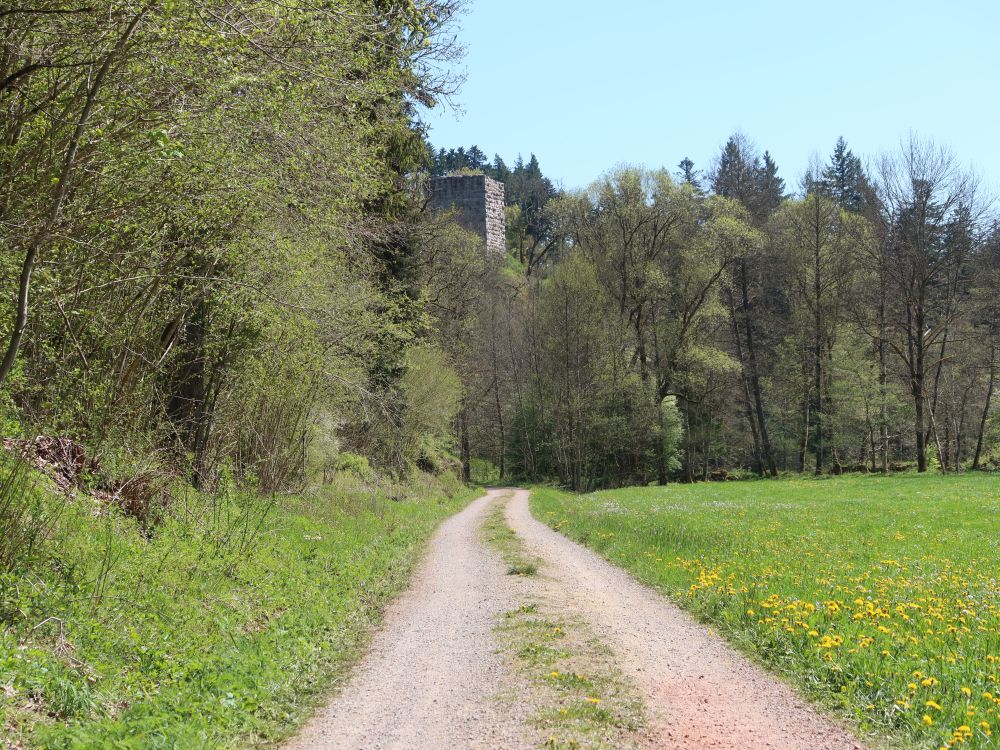 Roggenbacher Schlösser