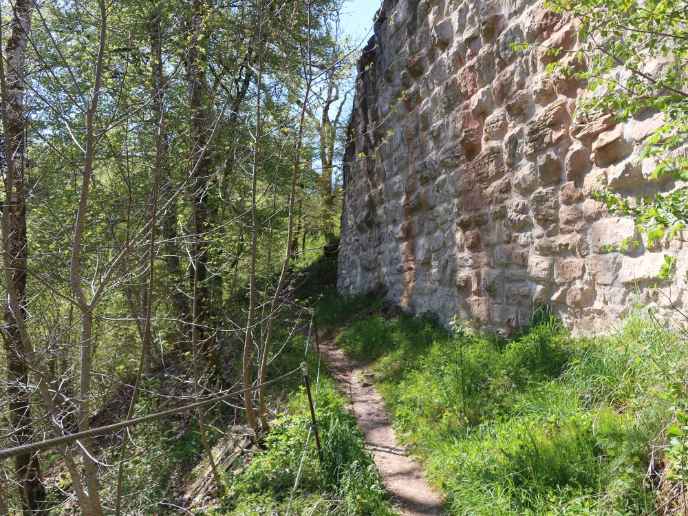 Schlossmauer
