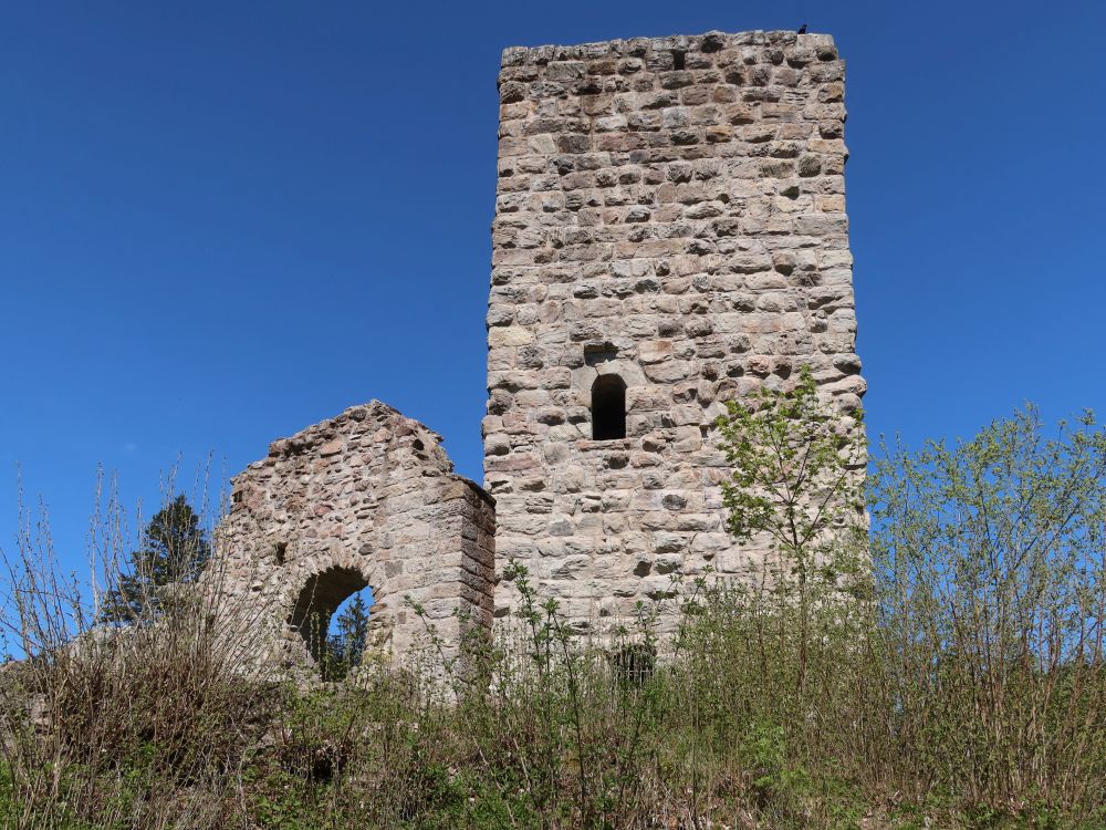 Roggenbacher Schlösser