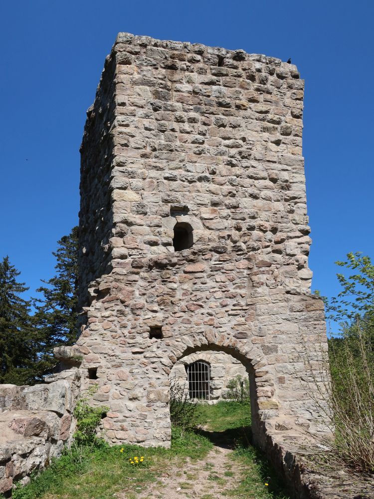 Roggenbacher Schlösser