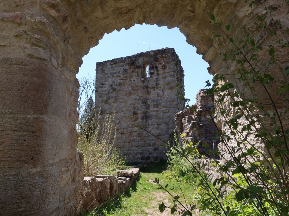 Roggenbacher Schlösser