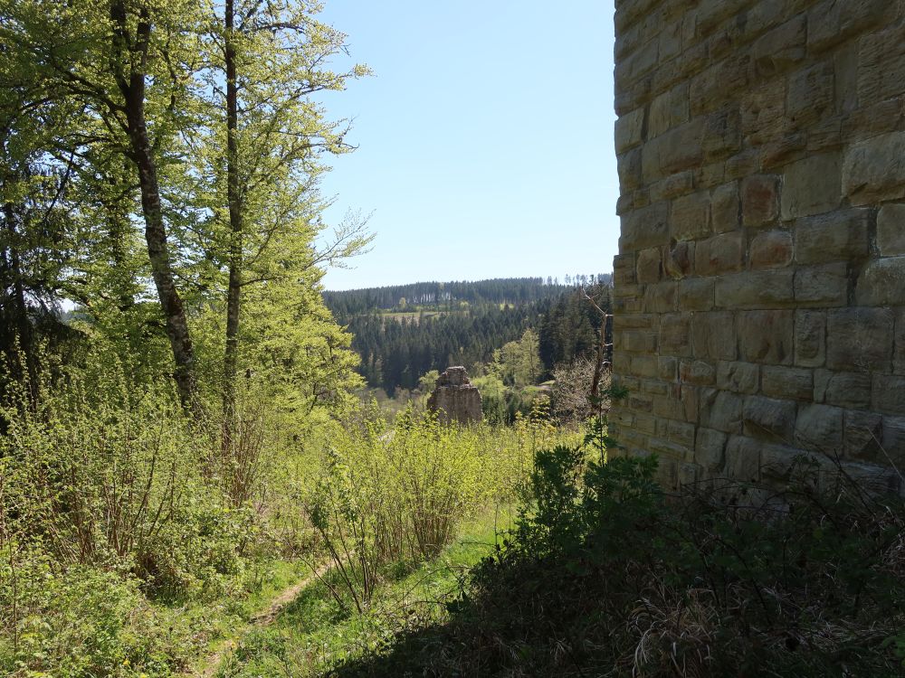 Burgruine Steinegg