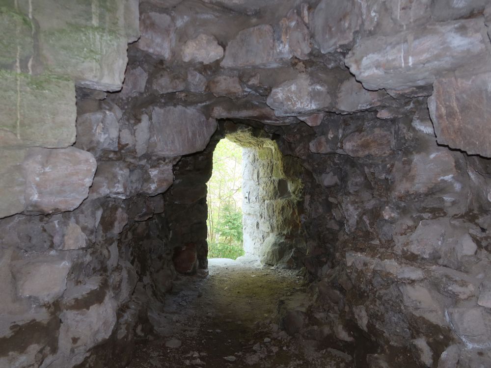 Burgruine Steinegg