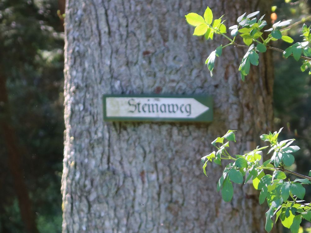 Wegweiser