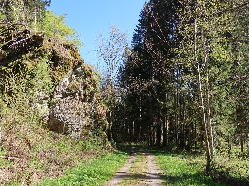 Fels am Wegesrand