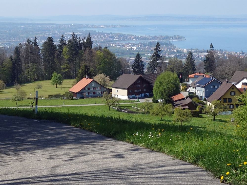 Blick zum Schweizer Bodenseeufer